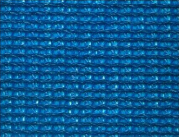 True Blue
